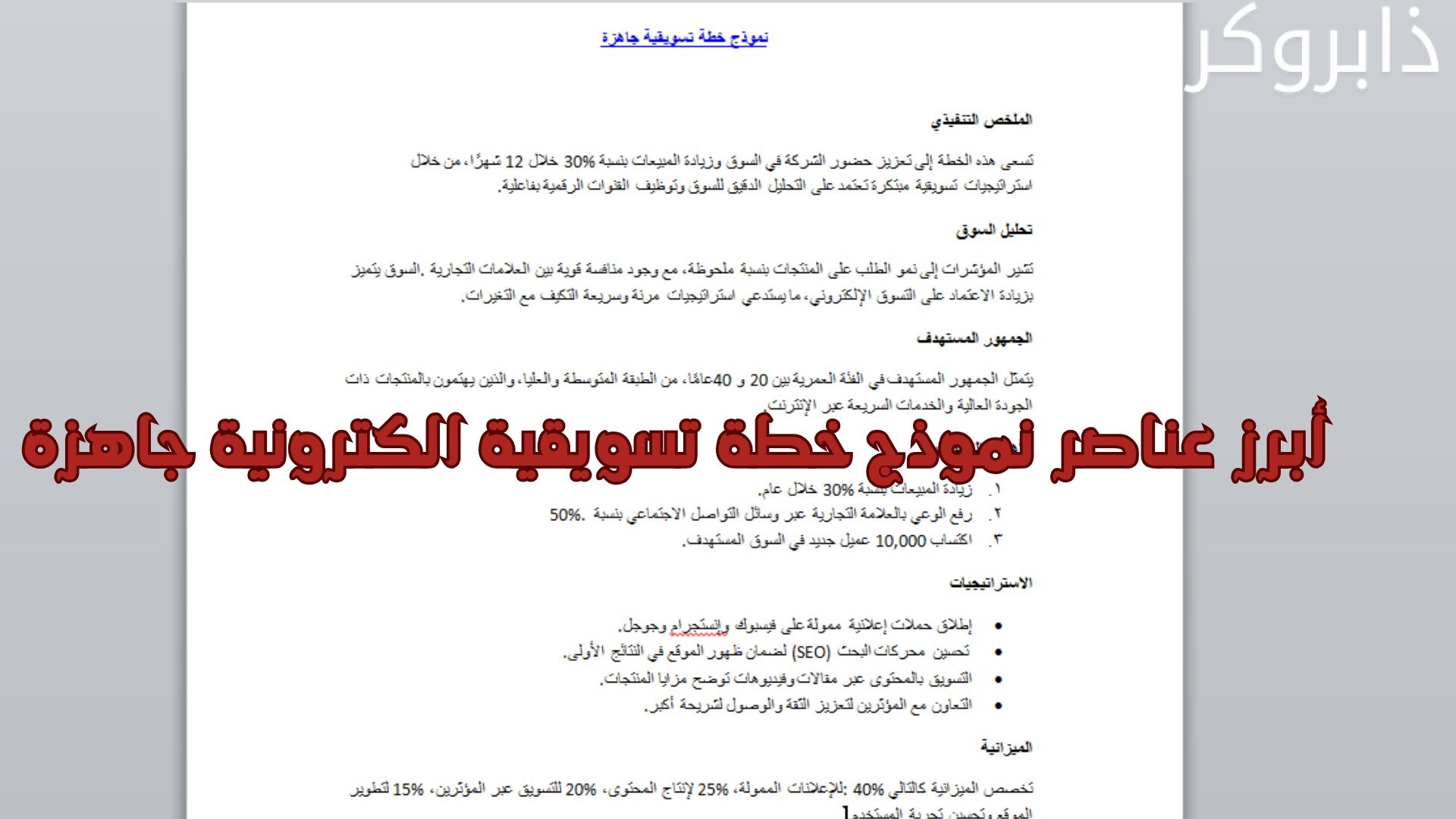 أبرز عناصر نموذج خطة تسويقية الكترونية جاهزة