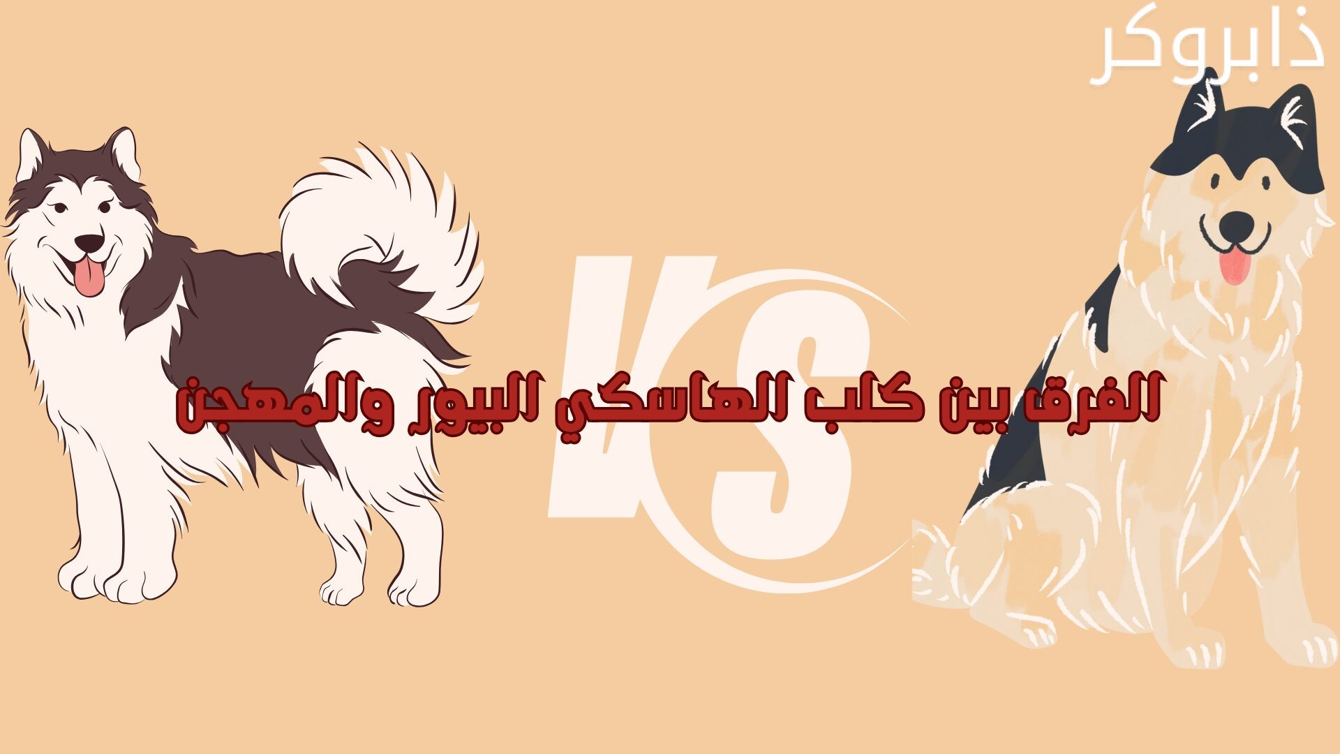 الفرق بين كلب الهاسكي البيور والمهجن في السعودية