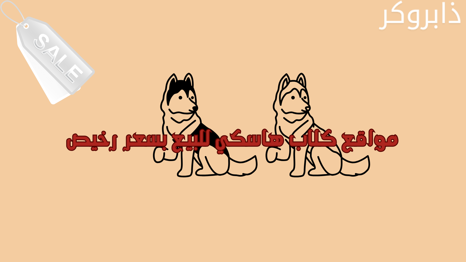 مواقع كلاب هاسكي للبيع بسعر رخيص