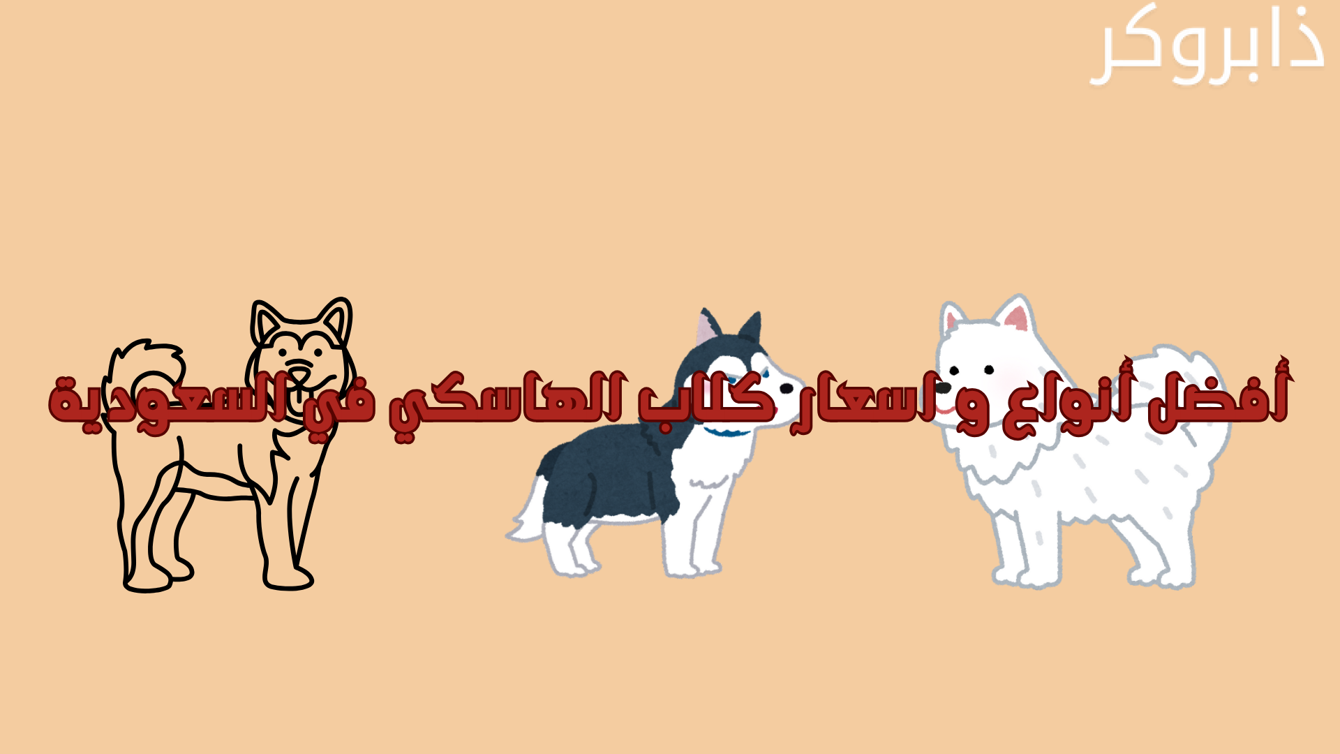 أفضل أنواع و اسعار كلاب الهاسكي في السعودية