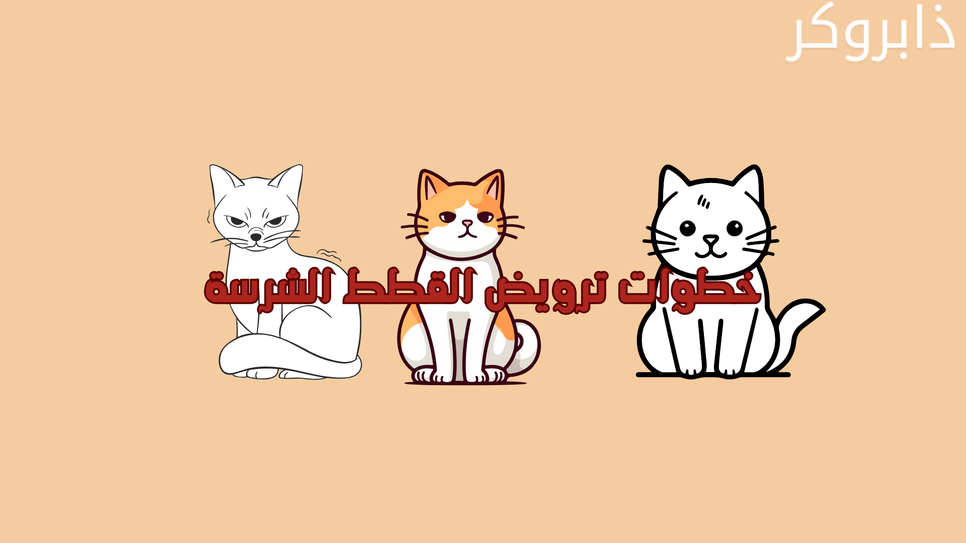 خطوات ترويض القطط الشرسة