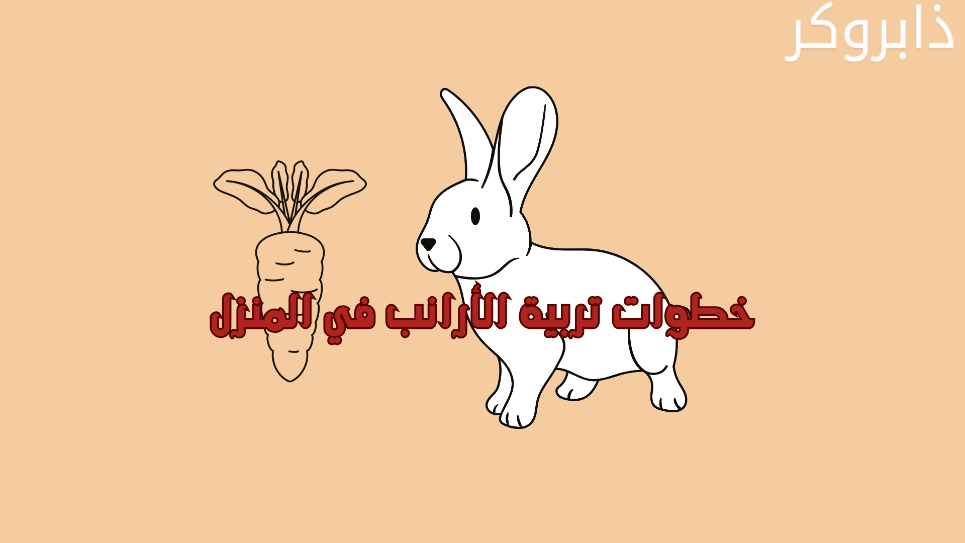 خطوات تربية الأرانب في المنزل
