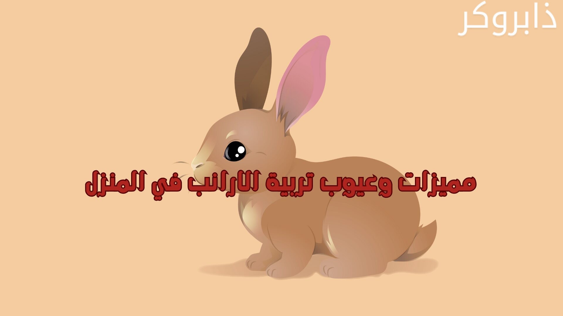 مميزات وعيوب تربية الارانب في المنزل