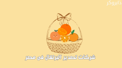 شركات تصدير البرتقال فى مصر