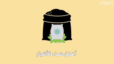 أفضل سماد للأشجار
