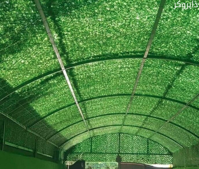 السقف العشبي