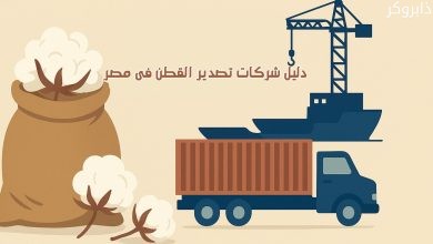 شركات تصدير القطن فى مصر
