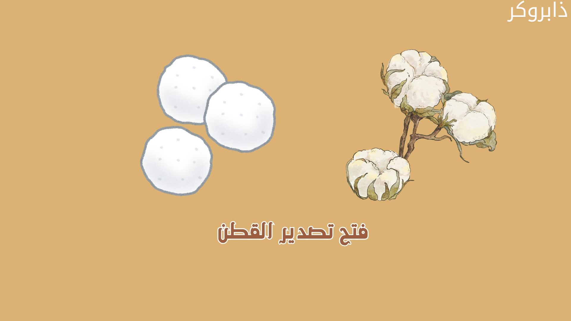 فتح تصدير القطن