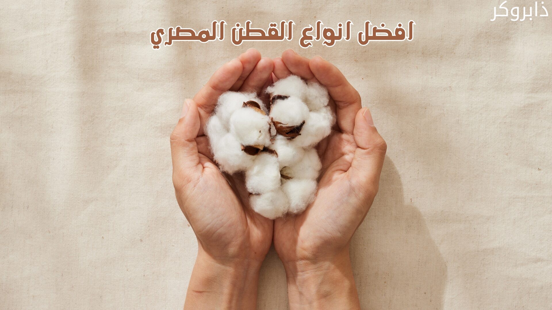 افضل انواع القطن المصري