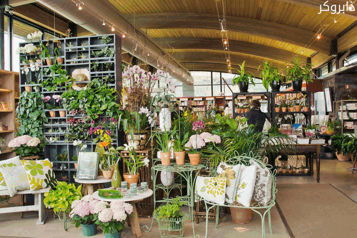 محل نباتات زينة ومستلزمات حدائق