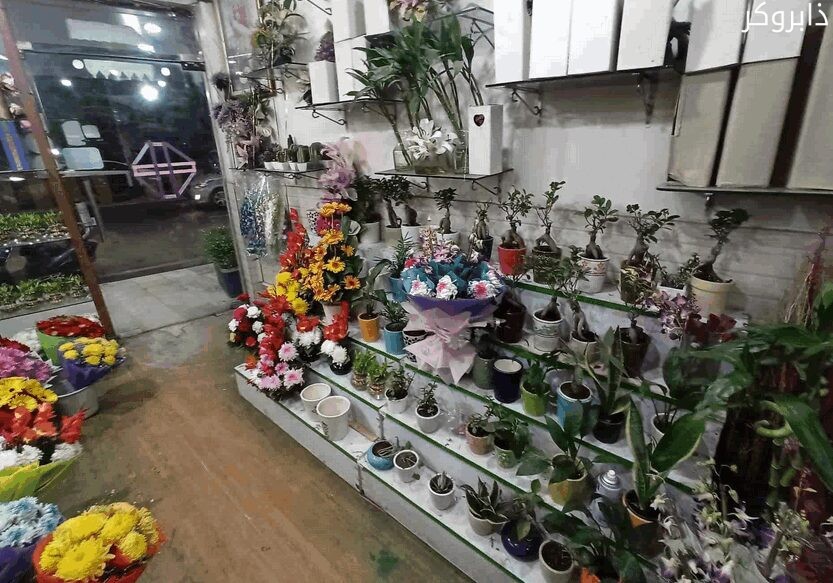 متجر بيع ورد طبيعي