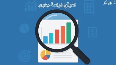 نموذج دراسة جدوى