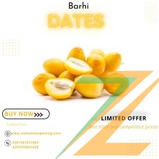 barhi dates