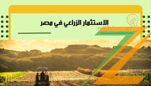 عرض مش هيتكرر 15فدان كاملة الخدمات والمرافق للبيع