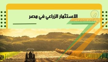 عرض مش هيتكرر 15فدان كاملة الخدمات والمرافق للبيع