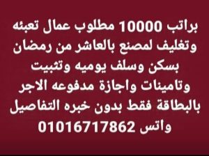 مطلوب عمال تعبئة وتغليف مصنع بالعاشر من رمضان