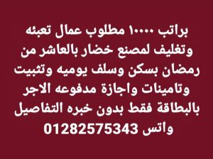 مطلوب عمال تعبئة وتغليف مصنع بالعاشر من رمضان