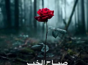 شركة ظيافة وتنظيفات