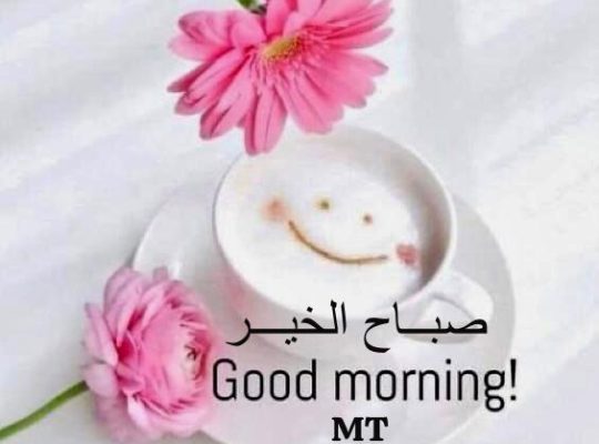 مكتب مجهز لتنسيق المعاملات والتأجير