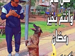 مدرب كلاب متخصص تدريب الكلاب