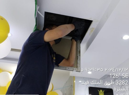 شركة مكافحة حشرات بالرياض ورش النمل الابيض