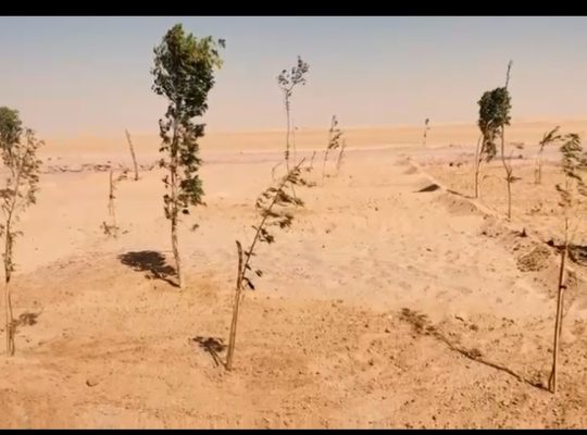 ارض الفيروز…الوادى الجديد