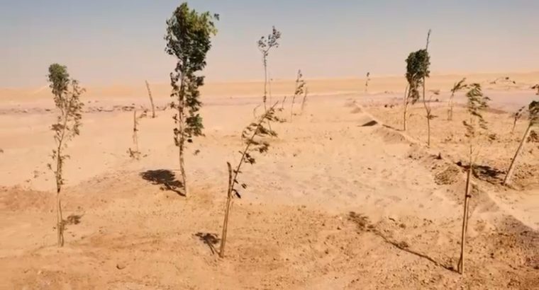 ارض الفيروز…الوادى الجديد