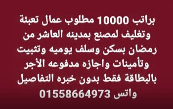 براتب 10000 مطلوب عمال تعبئة وتغليف لمصنع