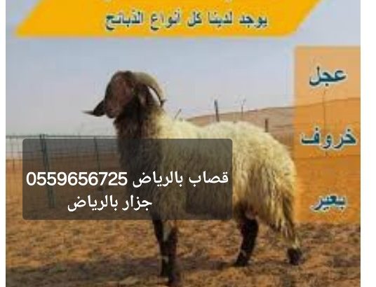 قـصـاب بـالـريـاض 0559656725 جـزار بالرياض