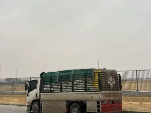 دينا نقل عفش داخل وخارج تبوك