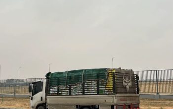 دينا نقل عفش داخل وخارج تبوك