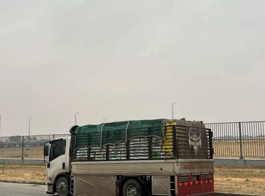 دينا نقل عفش داخل وخارج تبوك