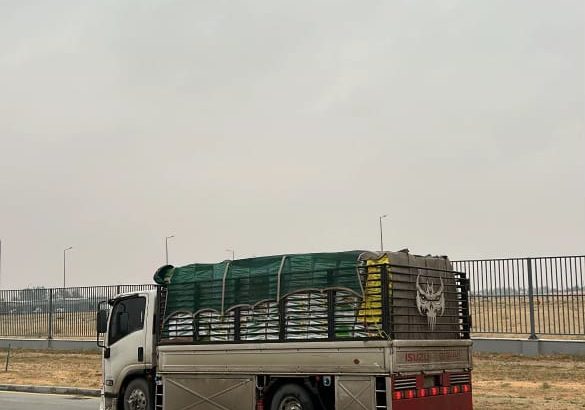 دينا نقل عفش داخل وخارج تبوك