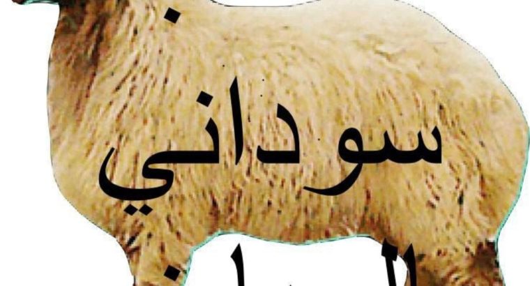 قـصـاب بـالـريـاض 0559656725 جـزار بالرياض