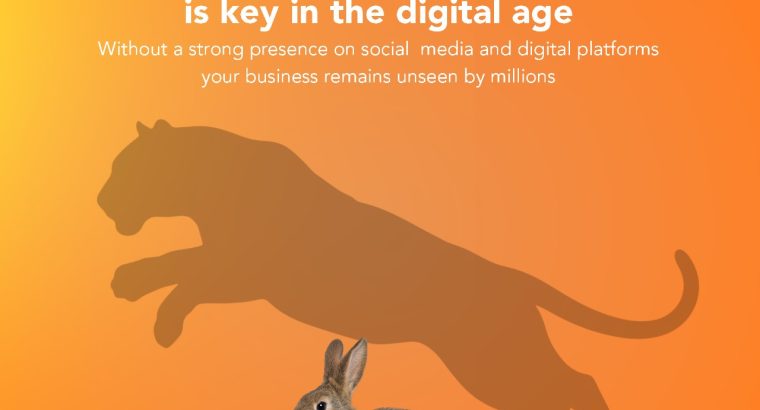 reach marketing
