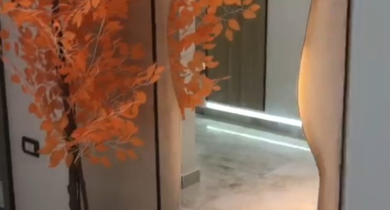 شقه للبيع داخل كمبوند علي الليبيني فيصل
