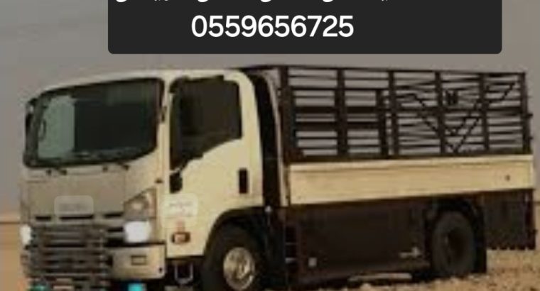 ديـنـا نـقـل عـفـش بـالـريـاض 0559656725