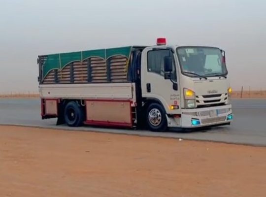 نقل عفش تبوك وخارج تبوك دينا لوري تريلا 05540