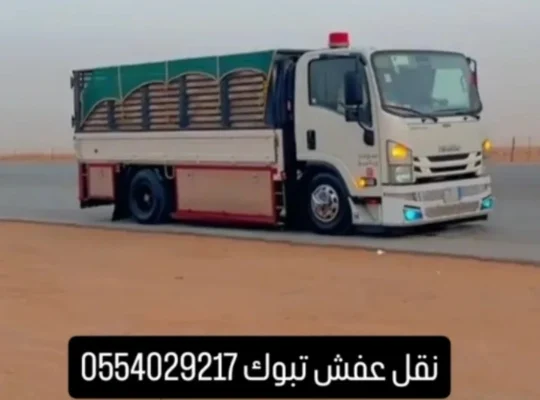 دينا نقل عفش بتبوك و خارج تبوك