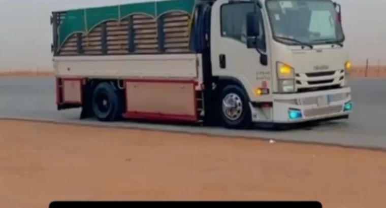 دينا نقل عفش بتبوك و خارج تبوك