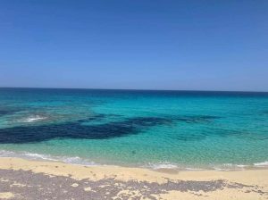 ٧ فدان على البحر مباشره مطروح بعد عجيبه للبيع تخصيص قريه سياحيه معاها موافقات الجيش و الاثار و الاستثمار غير مقننه