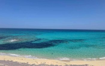 ٧ فدان على البحر مباشره مطروح بعد عجيبه للبيع تخصيص قريه سياحيه معاها موافقات الجيش و الاثار و الاستثمار غير مقننه