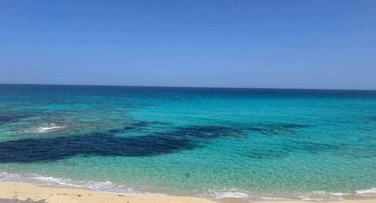 ٧ فدان على البحر مباشره مطروح بعد عجيبه للبيع تخصيص قريه سياحيه معاها موافقات الجيش و الاثار و الاستثمار غير مقننه