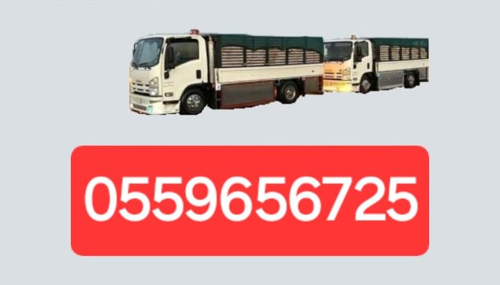 دينا طش الاثاث القديم بالرياض 0559656725