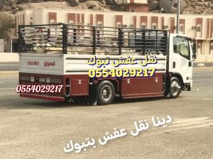 دينا نقل عفش تبوك وخارج تبوك دينا لوري تريلا