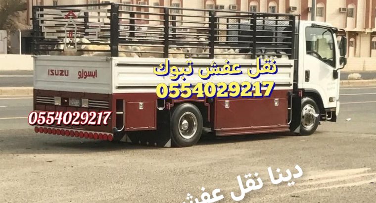 دينا نقل عفش تبوك وخارج تبوك دينا لوري تريلا
