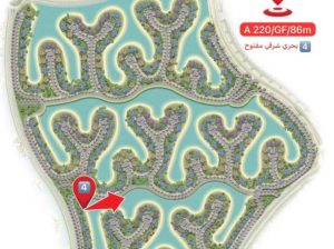 south med استوديو