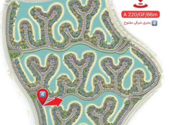 south med استوديو