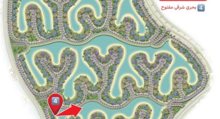 south med استوديو