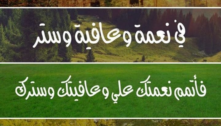 مطلوب شقة للايجار بمنطقة الشيخ زايد